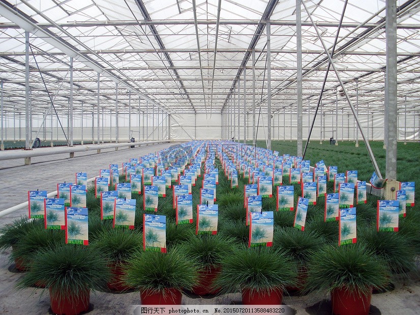 大力推进特色经济作物种植业发展