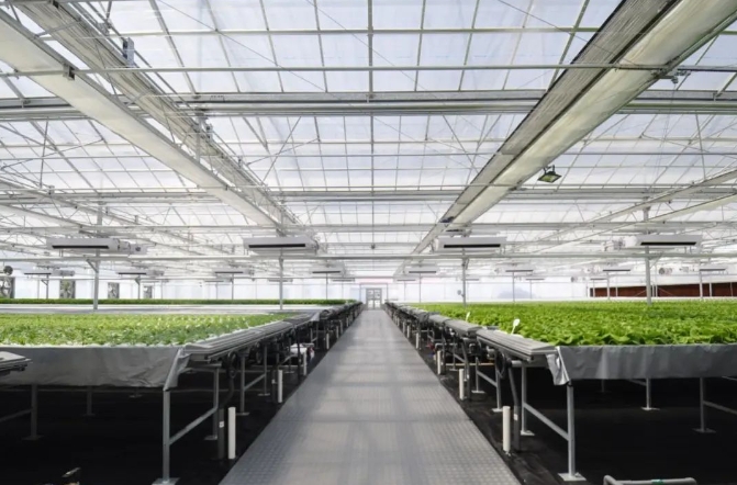 要认真吸取教训、引以为戒