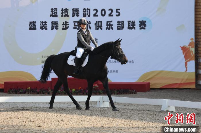 衡水站赛事创新组队模式激发马术运动活力